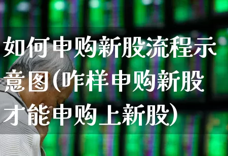 如何申购新股流程示意图(咋样申购新股才能申购上新股)_https://www.wanyuyiyao.com_北交所_第1张