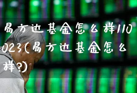 易方达基金怎么样110023(易方达基金怎么样?)_https://www.wanyuyiyao.com_上交所_第1张