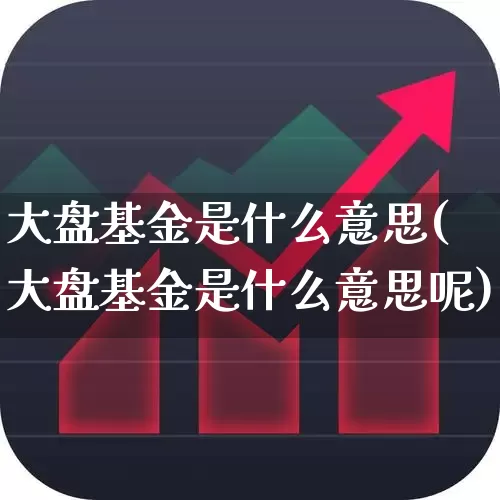 大盘基金是什么意思(大盘基金是什么意思呢)_https://www.wanyuyiyao.com_上交所_第1张
