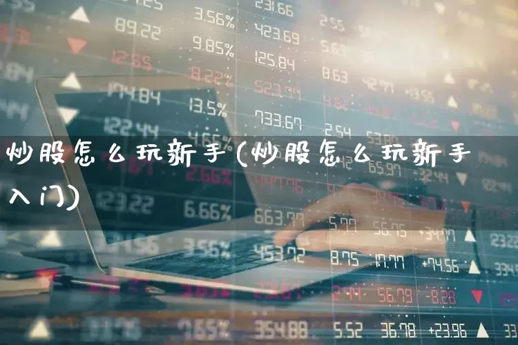 炒股怎么玩新手(炒股怎么玩新手入门)_https://www.wanyuyiyao.com_创业板_第1张