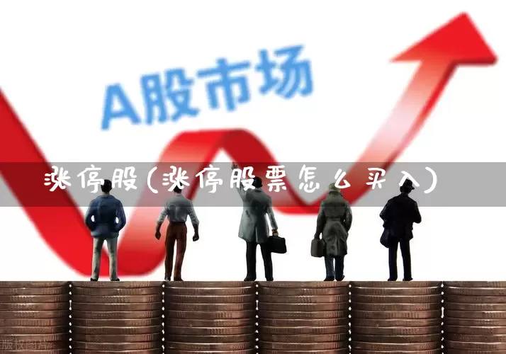 涨停股(涨停股票怎么买入)_https://www.wanyuyiyao.com_上交所_第1张
