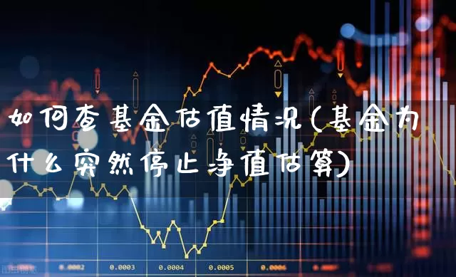 如何查基金估值情况(基金为什么突然停止净值估算)_https://www.wanyuyiyao.com_科创板_第1张