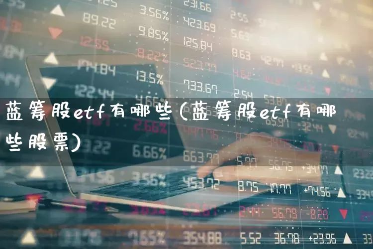 蓝筹股etf有哪些(蓝筹股etf有哪些股票)_https://www.wanyuyiyao.com_上交所_第1张