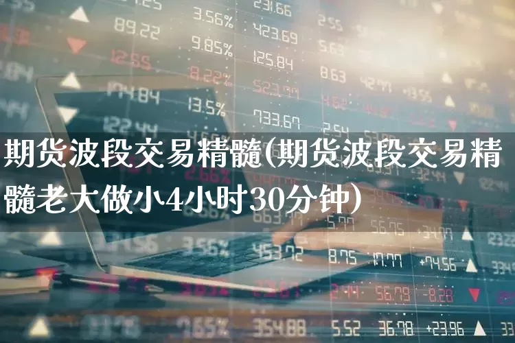 期货波段交易精髓(期货波段交易精髓老大做小4小时30分钟)_https://www.wanyuyiyao.com_深交所_第1张