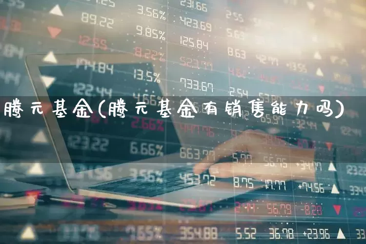 腾元基金(腾元基金有销售能力吗)_https://www.wanyuyiyao.com_科创板_第1张