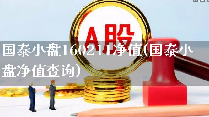 国泰小盘160211净值(国泰小盘净值查询)_https://www.wanyuyiyao.com_创业板_第1张