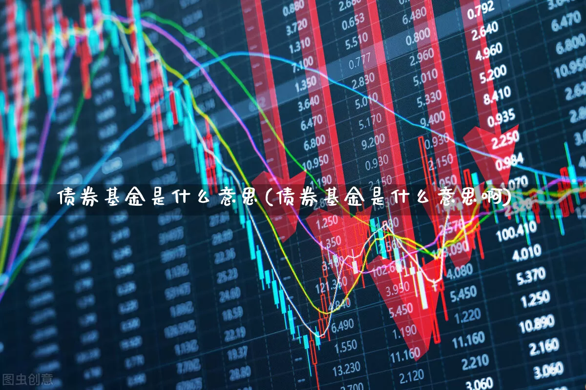 债券基金是什么意思(债券基金是什么意思啊)_https://www.wanyuyiyao.com_北交所_第1张