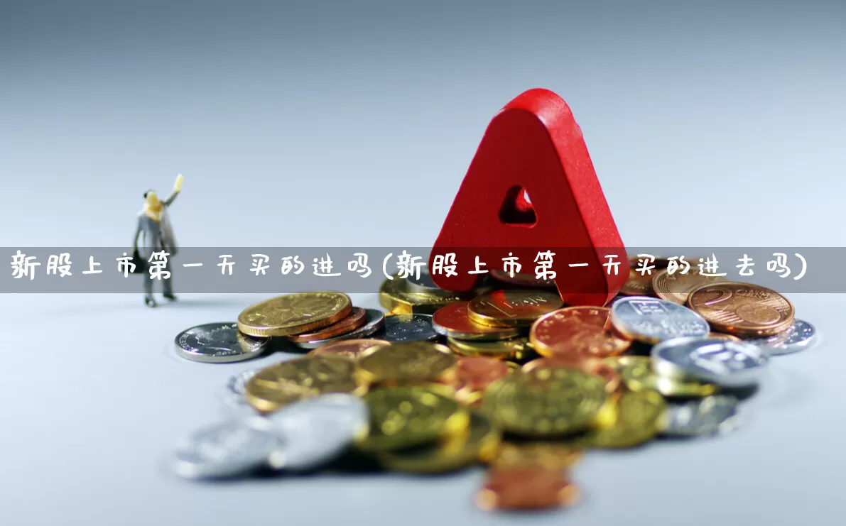 新股上市第一天买的进吗(新股上市第一天买的进去吗)_https://www.wanyuyiyao.com_北交所_第1张