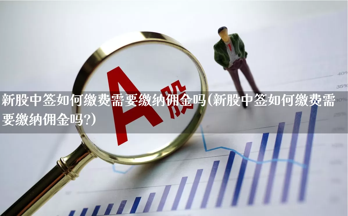新股中签如何缴费需要缴纳佣金吗(新股中签如何缴费需要缴纳佣金吗?)_https://www.wanyuyiyao.com_创业板_第1张