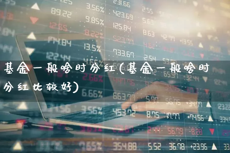 基金一般啥时分红(基金一般啥时分红比较好)_https://www.wanyuyiyao.com_上交所_第1张