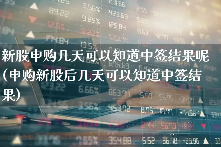 新股申购几天可以知道中签结果呢(申购新股后几天可以知道中签结果)_https://www.wanyuyiyao.com_深交所_第1张