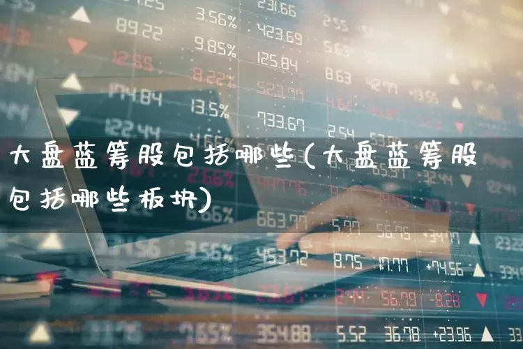 大盘蓝筹股包括哪些(大盘蓝筹股包括哪些板块)_https://www.wanyuyiyao.com_深交所_第1张