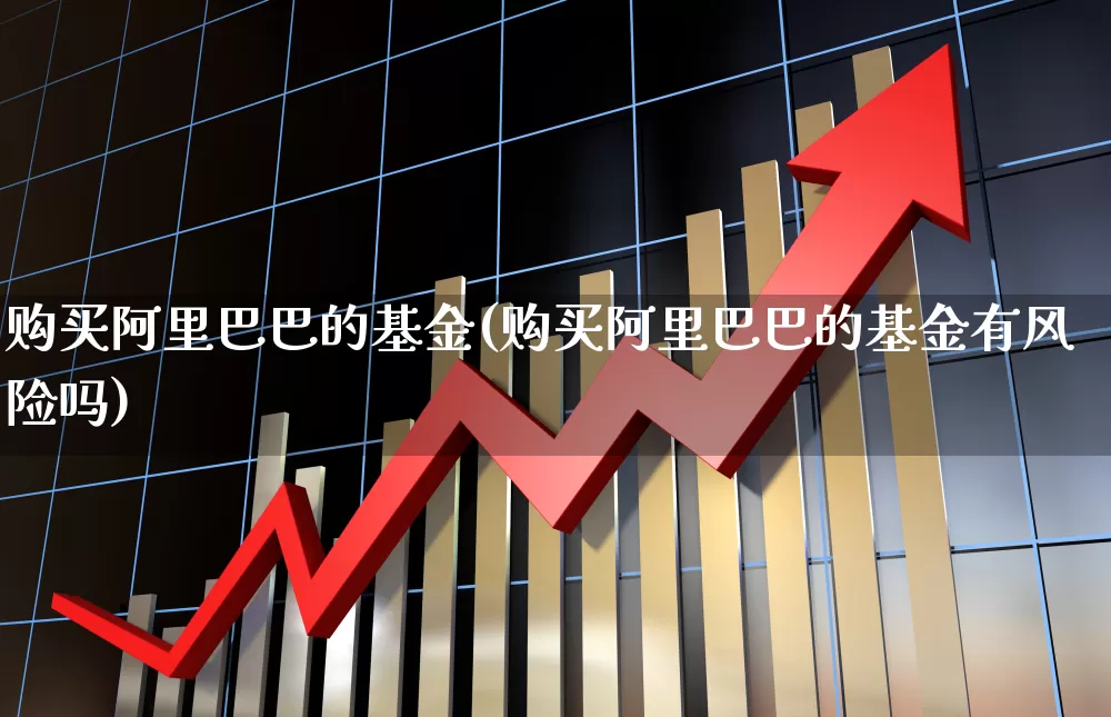 购买阿里巴巴的基金(购买阿里巴巴的基金有风险吗)_https://www.wanyuyiyao.com_上交所_第1张