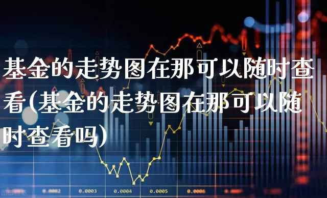 基金的走势图在那可以随时查看(基金的走势图在那可以随时查看吗)_https://www.wanyuyiyao.com_科创板_第1张