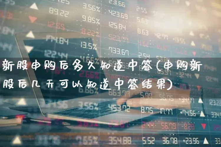 新股申购后多久知道中签(申购新股后几天可以知道中签结果)_https://www.wanyuyiyao.com_北交所_第1张