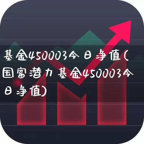 基金450003今日净值(国富潜力基金450003今日净值)_https://www.wanyuyiyao.com_深交所_第1张