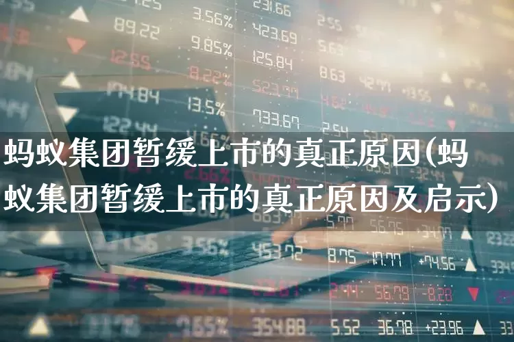 蚂蚁集团暂缓上市的真正原因(蚂蚁集团暂缓上市的真正原因及启示)_https://www.wanyuyiyao.com_上交所_第1张