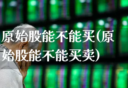 原始股能不能买(原始股能不能买卖)_https://www.wanyuyiyao.com_科创板_第1张