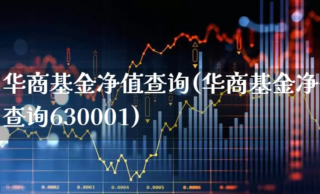 华商基金净值查询(华商基金净值查询630001)_https://www.wanyuyiyao.com_上交所_第1张