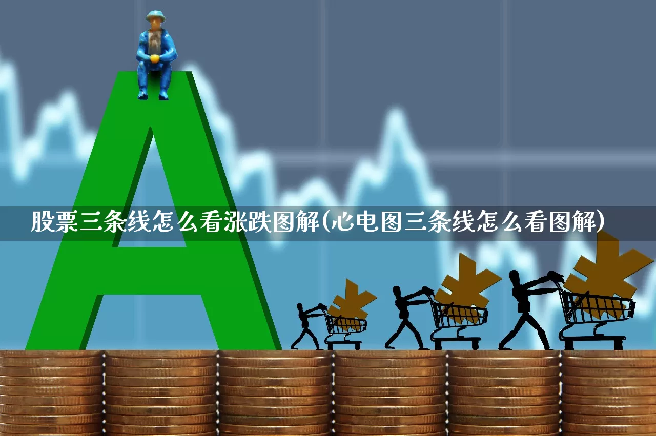 股票三条线怎么看涨跌图解(心电图三条线怎么看图解)_https://www.wanyuyiyao.com_创业板_第1张