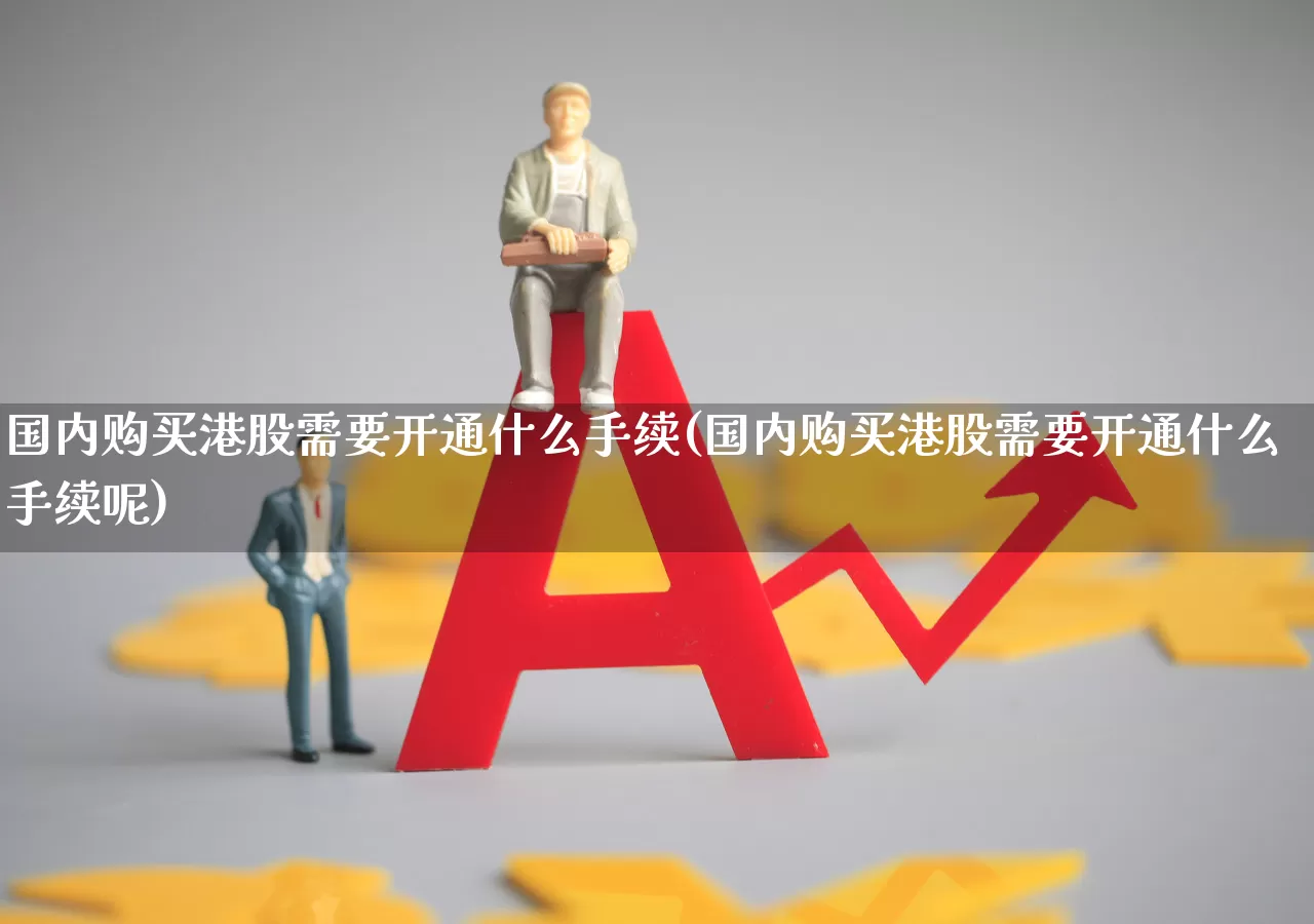 国内购买港股需要开通什么手续(国内购买港股需要开通什么手续呢)_https://www.wanyuyiyao.com_创业板_第1张
