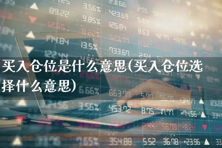 买入仓位是什么意思(买入仓位选择什么意思)_https://www.wanyuyiyao.com_上交所_第1张