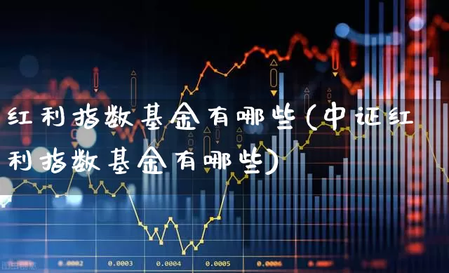 红利指数基金有哪些(中证红利指数基金有哪些)_https://www.wanyuyiyao.com_科创板_第1张