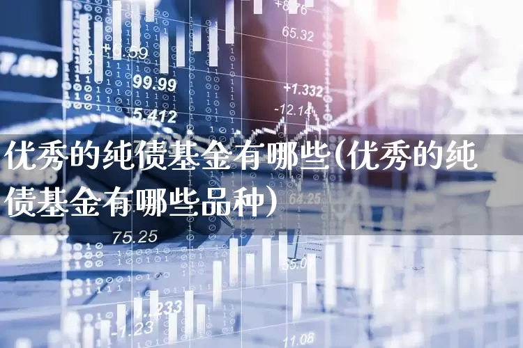 优秀的纯债基金有哪些(优秀的纯债基金有哪些品种)_https://www.wanyuyiyao.com_创业板_第1张
