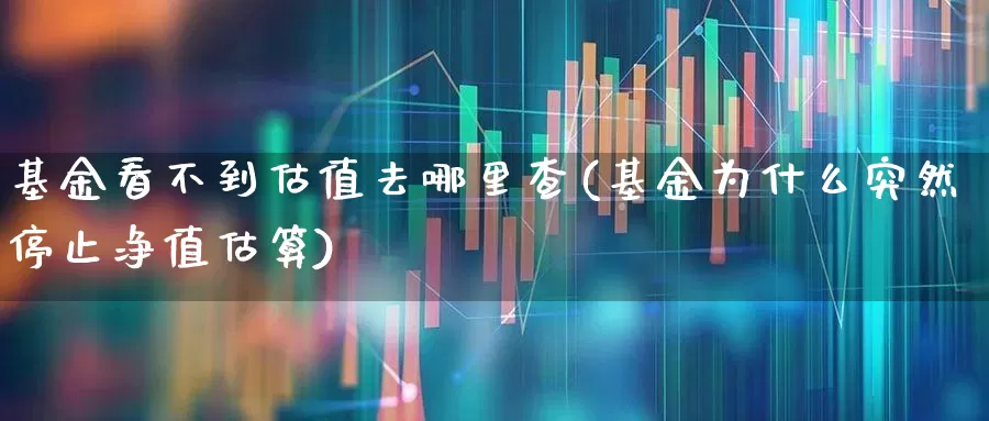 基金看不到估值去哪里查(基金为什么突然停止净值估算)_https://www.wanyuyiyao.com_上交所_第1张
