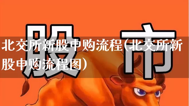 北交所新股申购流程(北交所新股申购流程图)_https://www.wanyuyiyao.com_北交所_第1张