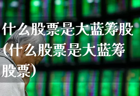 什么股票是大蓝筹股(什么股票是大蓝筹股票)_https://www.wanyuyiyao.com_北交所_第1张