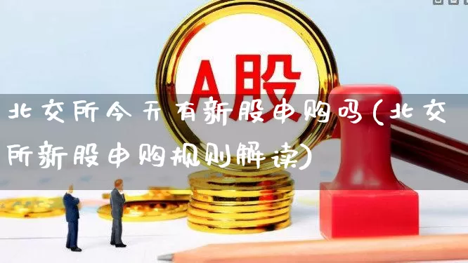 北交所今天有新股申购吗(北交所新股申购规则解读)_https://www.wanyuyiyao.com_北交所_第1张