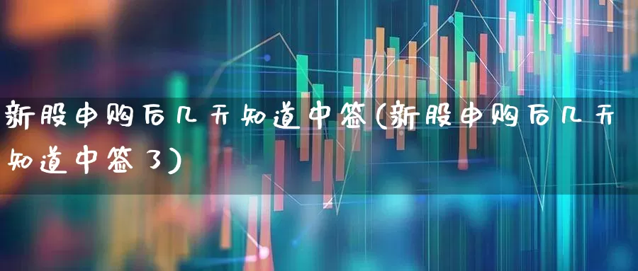 新股申购后几天知道中签(新股申购后几天知道中签了)_https://www.wanyuyiyao.com_上交所_第1张