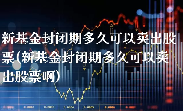 新基金封闭期多久可以卖出股票(新基金封闭期多久可以卖出股票啊)_https://www.wanyuyiyao.com_科创板_第1张