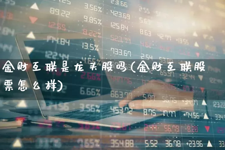 金财互联是龙头股吗(金财互联股票怎么样)_https://www.wanyuyiyao.com_上交所_第1张