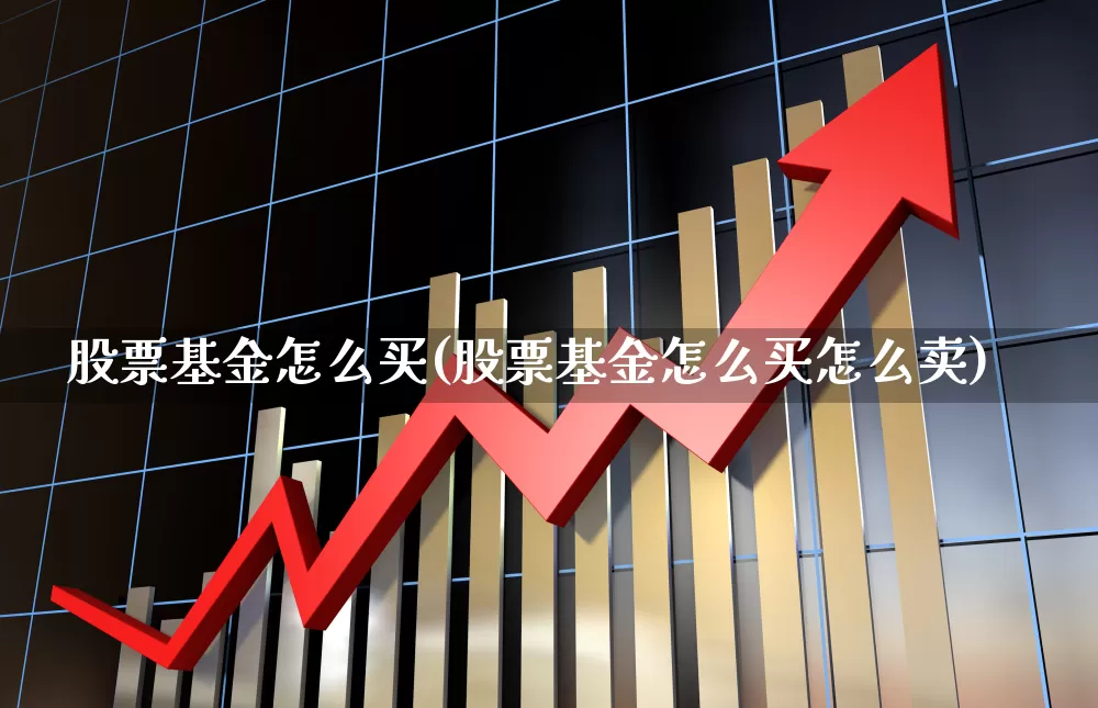 股票基金怎么买(股票基金怎么买怎么卖)_https://www.wanyuyiyao.com_科创板_第1张