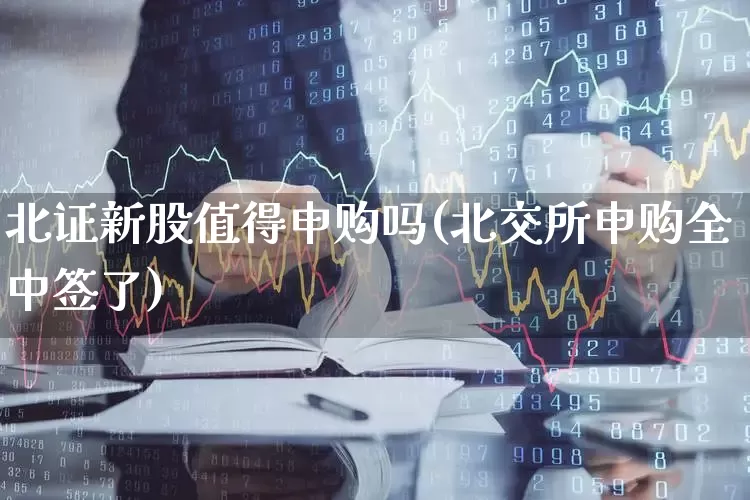 北证新股值得申购吗(北交所申购全中签了)_https://www.wanyuyiyao.com_上交所_第1张