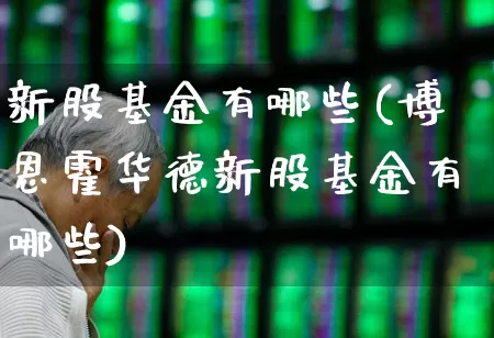 新股基金有哪些(博恩霍华德新股基金有哪些)_https://www.wanyuyiyao.com_科创板_第1张