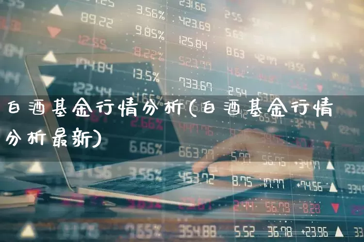 白酒基金行情分析(白酒基金行情分析最新)_https://www.wanyuyiyao.com_上交所_第1张