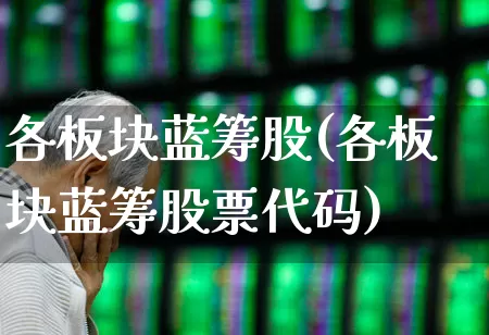 各板块蓝筹股(各板块蓝筹股票代码)_https://www.wanyuyiyao.com_创业板_第1张