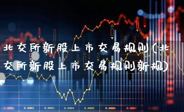 北交所新股上市交易规则(北交所新股上市交易规则新规)_https://www.wanyuyiyao.com_上交所_第1张