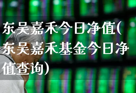 东吴嘉禾今日净值(东吴嘉禾基金今日净值查询)_https://www.wanyuyiyao.com_上交所_第1张