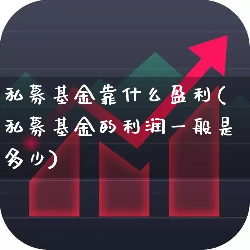 私募基金靠什么盈利(私募基金的利润一般是多少)_https://www.wanyuyiyao.com_科创板_第1张