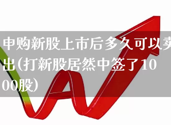 申购新股上市后多久可以卖出(打新股居然中签了1000股)_https://www.wanyuyiyao.com_北交所_第1张
