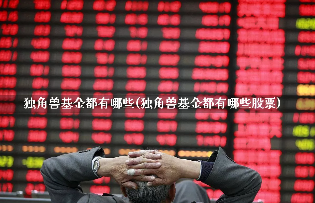 独角兽基金都有哪些(独角兽基金都有哪些股票)_https://www.wanyuyiyao.com_上交所_第1张