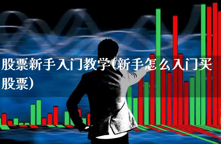 股票新手入门教学(新手怎么入门买股票)_https://www.wanyuyiyao.com_创业板_第1张