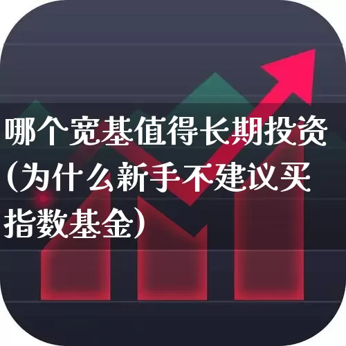 哪个宽基值得长期投资(为什么新手不建议买指数基金)_https://www.wanyuyiyao.com_深交所_第1张