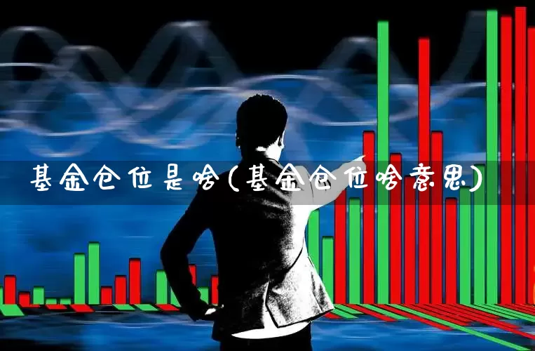 基金仓位是啥(基金仓位啥意思)_https://www.wanyuyiyao.com_创业板_第1张