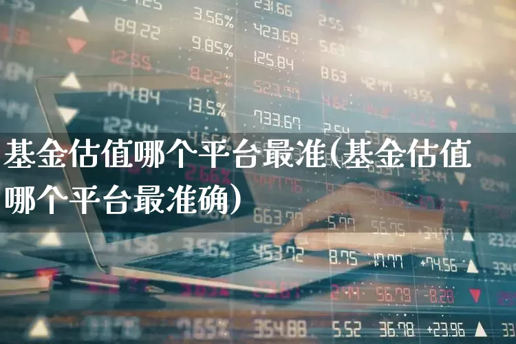 基金估值哪个平台最准(基金估值哪个平台最准确)_https://www.wanyuyiyao.com_上交所_第1张