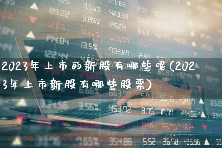 2023年上市的新股有哪些呢(2023年上市新股有哪些股票)_https://www.wanyuyiyao.com_北交所_第1张